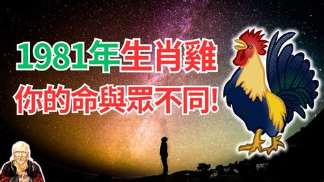 1981屬雞2023運勢|1981年屬雞人2023年運勢及運程 